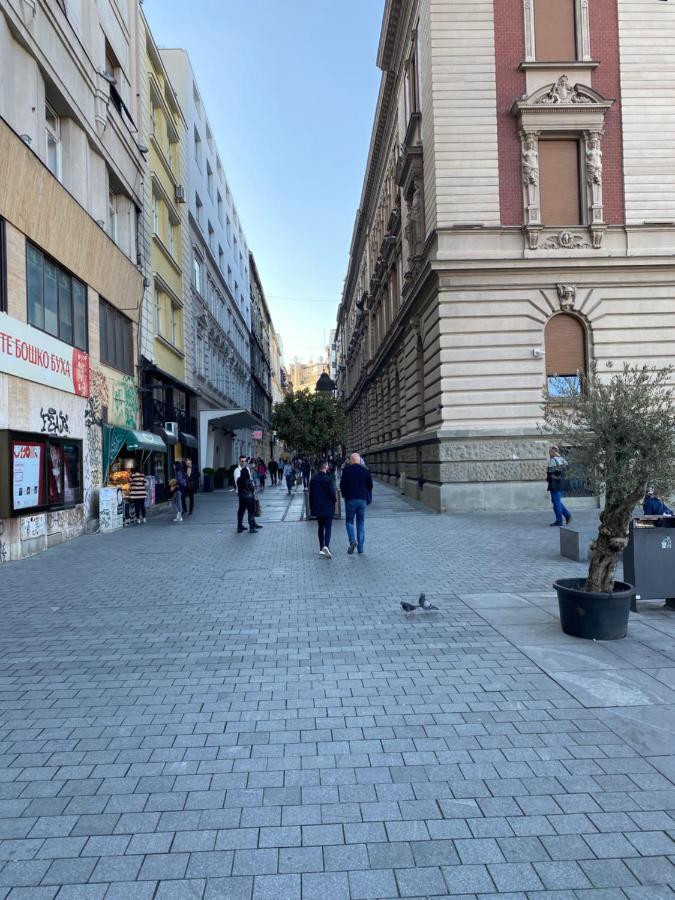 Cika Ljuba Apartman Belgrád Kültér fotó